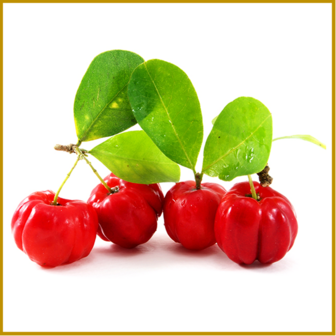 ACEROLA - SAP