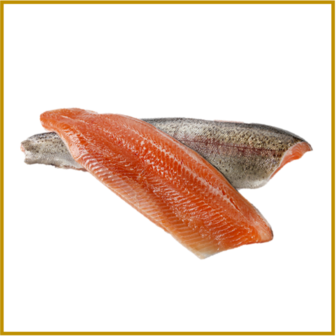 FOREL (REGENBOOG / ZALM) 