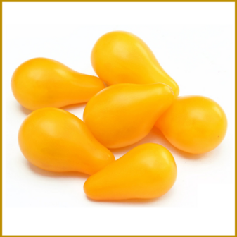 TOMAAT (KERS) - YELLOW PEARSHAPED - VRUCHT