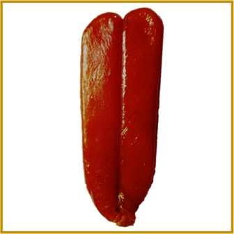 TONIJN - BOTTARGA (KUIT)