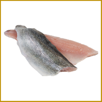 FOREL (REGENBOOG) - FILET MET VEL