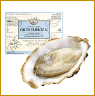 HOLLE OESTER - GREVELINGEN