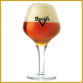 BUSH - CARACTERE - 330 ML