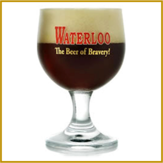 WATERLOO - STRONG DARK 8&deg; - 330 ML