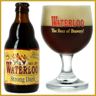 WATERLOO - STRONG DARK 8&deg; - 330 ML