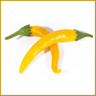 CHILIPEPER -  THAI HOT YELLOW - VRUCHT