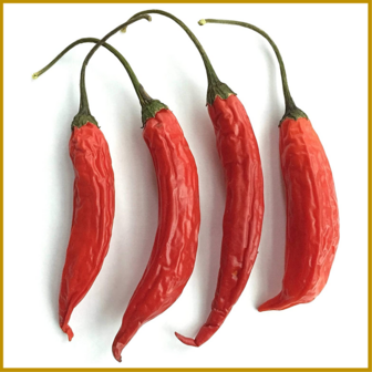 CHILIPEPER - AJI COLORADO - VRUCHT