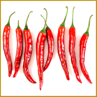 CHILIPEPER - CAYENNE RED - VRUCHT