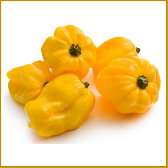 CHILIPEPER - HABANERO LEMON  - VRUCHT