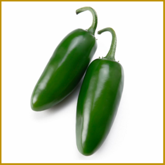 CHILIPEPER - JALAPENO GIGANTIA - VRUCHT