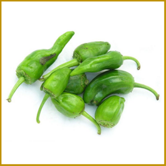 CHILIPEPER - PADRON - VRUCHT