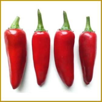 CHILIPEPER - SERRANO - VRUCHT