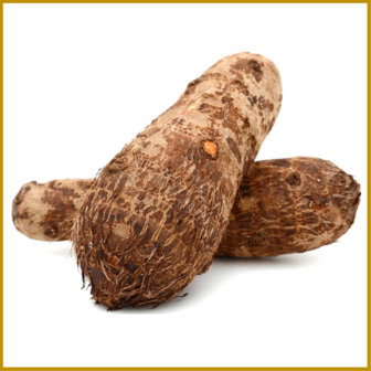 CHINESE YAM - PLANTKNOL