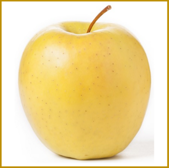 APPEL - GOLDEN DELICIOUS - PLANT