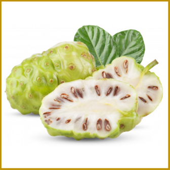 NONI - PLANT