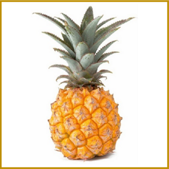 ANANAS - VERS - BABY