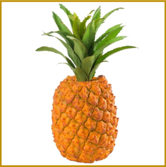 ANANAS - VERS