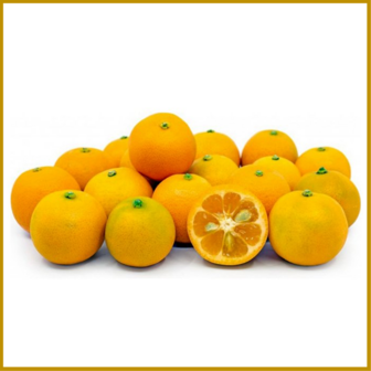 CALAMONDIN - VRUCHT