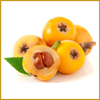 LOQUAT - VRUCHT