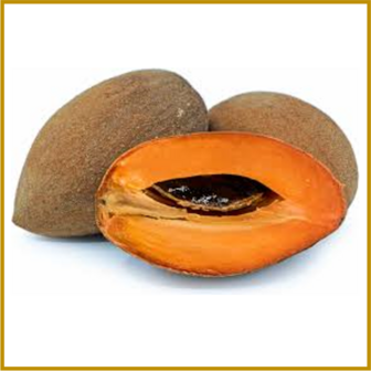 SAPOTE - VRUCHT