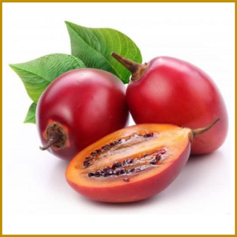 TAMARILLO - ROOD - VRUCHT