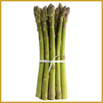 ASPERGE - MARY WASHINGTON - GROEN - RAUW