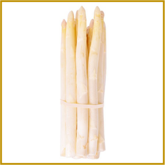 ASPERGE - MILLENNIUM F1 - RAUW - WIT