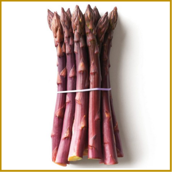 ASPERGE - PURPLE PASSION - RAUW