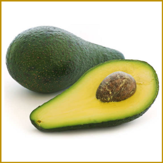 AVOCADO - FUERTE - RAUW