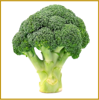 BROCCOLI - CALABRESE - KOOL