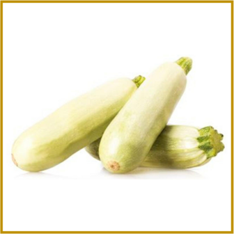 COURGETTE - BLANCO MEDIO LARGO - VRUCHT