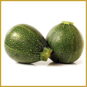 COURGETTE - EIGHT BALL F1 - VRUCHT