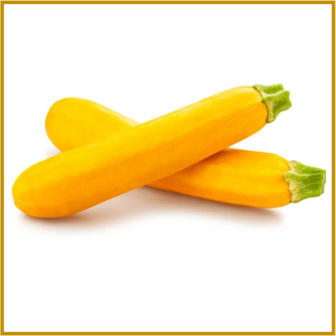 COURGETTE - GOLDEN GLORY F1 - VRUCHT