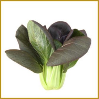 PAKSOI - RED CHOI - VRUCHT