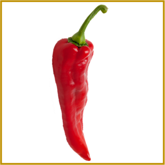 PAPRIKA - CORNO DI TORNO ROSSO - VRUCHT - ROOD