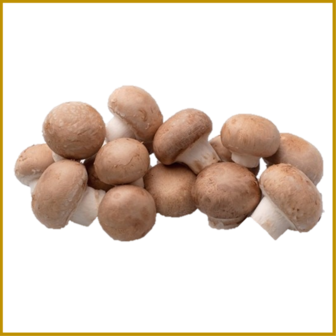 CHAMPIGNON - BRUIN - SCHIMMEL