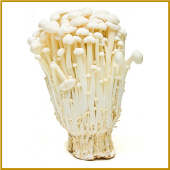 FLUWEELPOOTJE (ENOKI) - SCHIMMEL