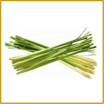 CITRONELLA - NARDUS - GRAS