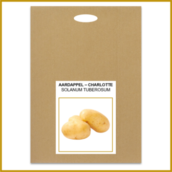 AARDAPPEL - CHARLOTTE - POOTKNOL