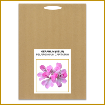 GERANIUM - ZADEN