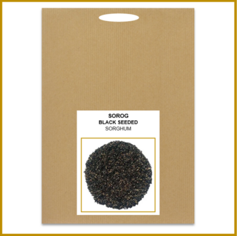 SORGO - BLACK SEEDED - ZADEN