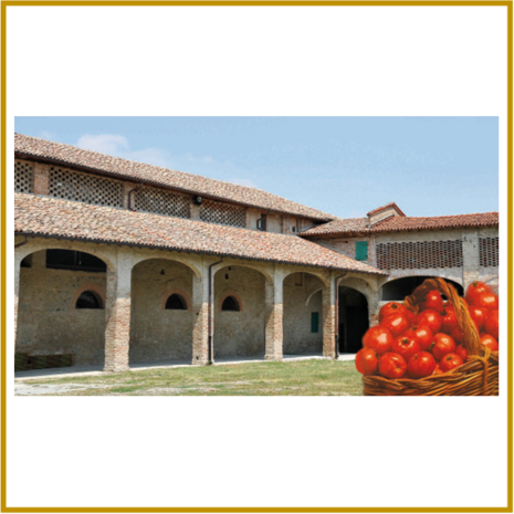 TOMATENMUSEUM - COLLECCHIO (IT)