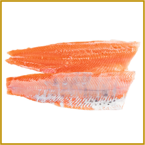 FOREL (REGENBOOG / ZALM) 