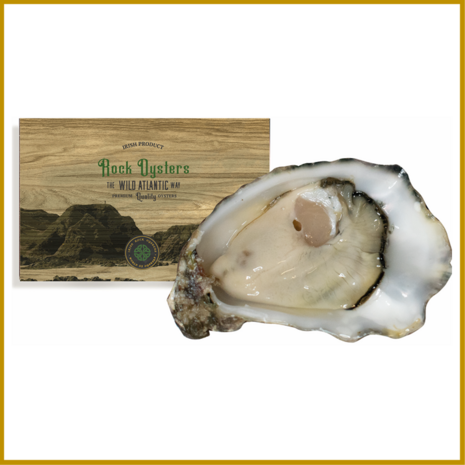 HOLLE OESTER - ROCK OYSTER