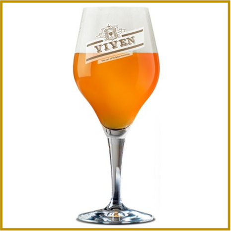 VIVEN - ALE SPECIAL BELGE - 330 ML