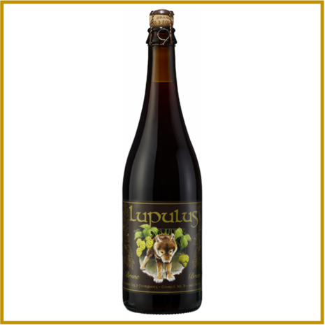 LUPULUS - BRUIN - 330 ML