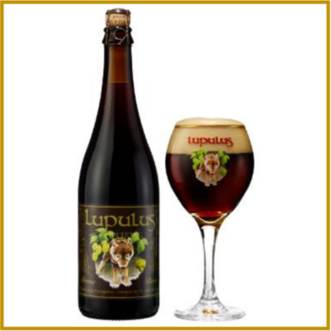 LUPULUS - BRUIN - 330 ML