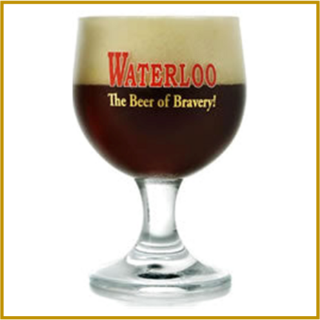 WATERLOO - STRONG DARK 8° - 330 ML