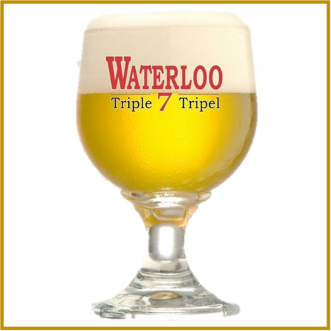 WATERLOO - TRIPEL -  330 ML 