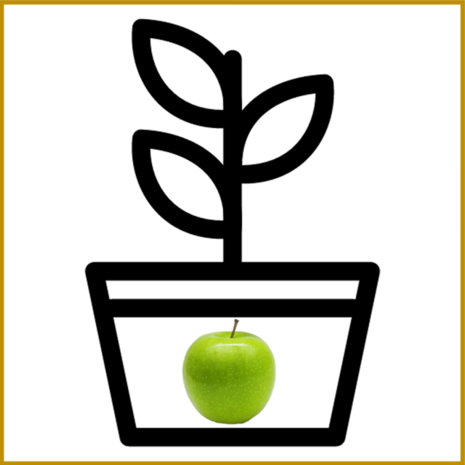 APPEL - GRANNY SMITH - PLANT